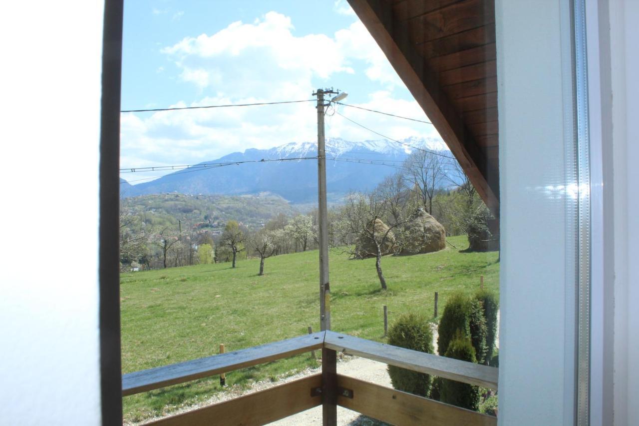 Casa Veverita Predelut Exterior foto